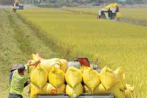 Kl99kl phiên bản hoạt động nông nghiệp giàu tiềm năng nhưng không dễ khai thác. Ảnh: Dũng Minh 