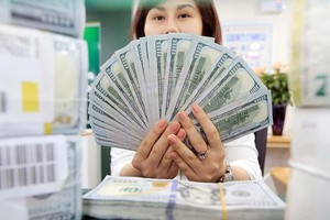 Link Vào Nhà Cái KL99 COM Tặng +199k đang chịu rủi ro rất lớn đối với các khoản vay thế chấp Ảnh: Đức Thanh