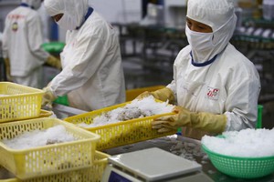 Lao động có việc làm tăng, thất nghiệp và thiếu việc làm giảm, nên thu nhập bình quân của người lao động được cải thiện. 