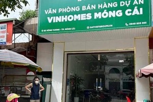 Quảng Ninh: Tạm dừng hoạt động 13 văn phòng giao dịch Web Tổng Nhà Cái 99Kl99 Giải Trí Bậc Nhất tại TP. Móng Cái