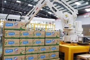 Giá đường thế giới lao dốc, Đường Quảng Ngãi (QNS) báo cáo Kl99 nổ hũ quý II/2022 tăng nhẹ 1,3%