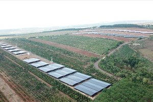 Một dự án điện mặt trời ở tỉnh Gia Lai. Ảnh: Thanh Tuấn