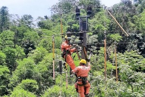 Thường trực Kl993 ưu đãi thưởng hấp dẫn dự kiến họp về Quy hoạch Điện VIII