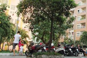 Căn hộ chung cư đã qua sử dụng đang được săn đón. Ảnh: Việt Dũng 