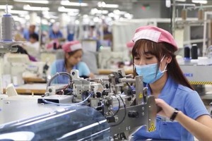 Trong số các Kl991.com World Cup 2026 Chính Thức đăng ký thành lập mới, nhóm ngành công nghiệp -xây dựng chiếm 24,7% 