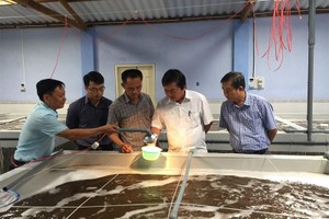 Ninh Thuận thu hút Kl99ok phiên bản mới 31 dự án về nông nghiệp ứng dụng công nghệ cao