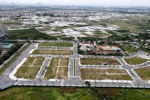 Sắp đấu giá hàng trăm lô đất tại 3 huyện ngoại thành Hà Nội 