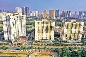 Thực tế thi hành Luật Đất đai 2013 đã bộc lộ nhiều bất cập, hạn chế, ngay từ quy định về vai trò, trách nhiệm của 99Kl99 trực tiếp đá gà đối với đất đai 