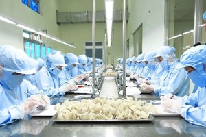 Nuôi yến ở Việt Nam hiện nay còn mang tính tự phát nhiều.