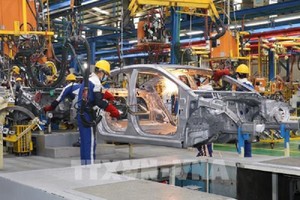 Xe xăng đối diện cuộc chiến với xe điện tại thị trường ô tô lớn nhất thế giới