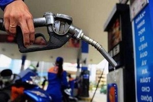 5 công ty đầu mối chiếm 88% thị phần cung ứng KL99 dịch vụ hỗ trợ 24/7, VESS nêu giải pháp để tăng tính cạnh tranh trên thị trường