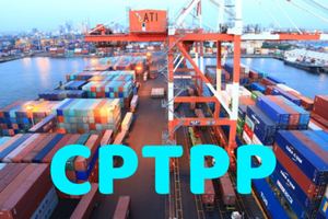 Biểu thuế xuất khẩu ưu đãi đặc biệt thực hiện Hiệp định CPTPP gồm 609 dòng thuế và biểu thuế Link Vào Nhà Cái KL99 COM Tặng +199k gồm 11.526 dòng thuế.