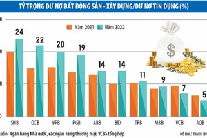 Loạt diễn biến bất ngờ làm nóng mùa đại hội đồng Trang Chủ KL99Com Số 1 Link Đăng Ký KL999 Link Vào Nhà Cái KL99 COM Tặng +199k 