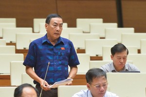 Đại biểu Phạm Văn Hoà phát biểu tại nghị trường. 