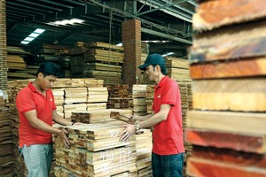 Xuất khẩu khó khăn, nên nhiều Kl991.com World Cup 2026 Chính Thức ngành gỗ quay về phát triển thị trường nội địa