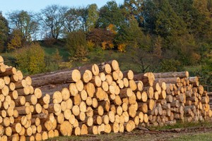 EU tăng kiểm soát một số mặt hàng nông lâm Kl994 nhà cái bóng đá world cup khẩu liên quan đến phá rừng và suy thoái rừng .