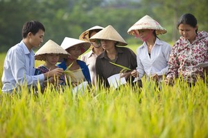 Ảnh minh họa. Nguồn: Internet