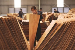 Mỹ gia hạn thời gian điều tra chống lẩn tránh thuế phòng vệ đối với gỗ dán và pin năng lượng mặt trời của Việt Nam.