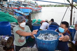 Ủy ban châu Âu sẽ kiểm tra về chống khai thác hải sản bất hợp pháp vào tháng 10/2023.