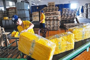 Khó khăn chồng chất, nhiều công ty cao su phải tạm ngừng Kl992 VIP Trang Chủ 2026 