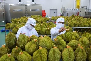 Xuất khẩu nửa cuối tháng 5 có dấu hiệu phục hồi thấy rõ so với 15 ngày đầu tháng.