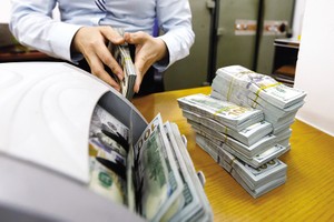 Trong ngắn hạn, tỷ giá có thể sẽ tiếp tục biến động tăng tương đối. Ảnh: Đức Thanh
