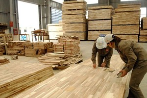 Nhiều Kl991.com World Cup 2026 Chính Thức gỗ dán cứng của Việt Nam có nguy cơ bị áp thuế cao khi xuất khẩu sang Mỹ.
