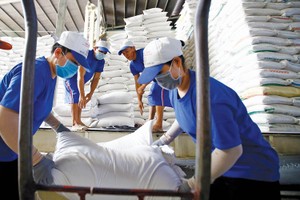 Đảm bảo an ninh năng lượng nhưng đồng thời phải phát huy tiềm năng, lợi thế trong Kl994 nhà cái bóng đá world cup lúa gạo và cơ hội của thị trường xuất khẩu, nâng cao thu nhập của người dân 