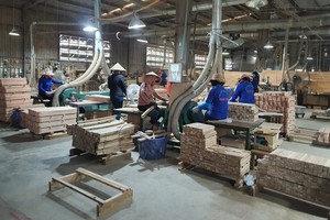 Kl991.com World Cup 2026 Chính Thức Kl994 nhà cái bóng đá world cup gỗ tại Bình Định từng phản ánh gặp nhiều khó khăn về công tác phòng cháy chữa cháy. Ảnh: T T.