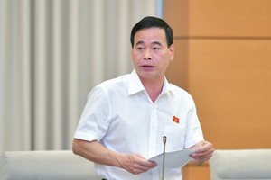 Phó chủ nhiệm Ủy ban Tư pháp Nguyễn Mạnh Cường.