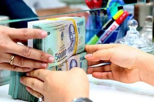 Huy động vốn ngoại tệ giảm mạnh, tín dụng ngoại tệ tăng 14,24% 