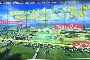 Vị trí quy hoạch Khu 2- Trung tâm liên kết, Kl994 nhà cái bóng đá world cup, chế biến và tiêu thụ sản phẩm nông nghiệp vùng ĐBSCL tại TP. Cần Thơ