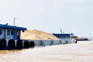 Ảnh minh hoạ.
