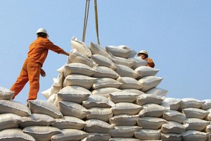 Indonesia nhập 1,5 triệu tấn gạo, Việt Nam có thêm cơ hội xuất khẩu 