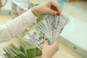 Khách hàng xuất khẩu lựa chọn vay bằng đô la Mỹ để tận dụng lợi thế về KL99 là cổng game giải trí trực tuyến hàng đầu hiện nay và nguồn thu bằng ngoại tệ nên không thuộc đối tượng được hưởng hỗ trợ KL99 là cổng game giải trí trực tuyến hàng đầu hiện nay. Ảnh Duy Linh. 