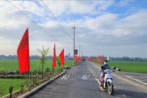 Ảnh minh hoạ. (Nguồn: Internet)