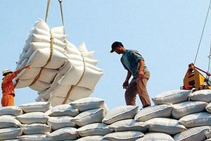 Indonesia Link Vào Nhà Cái KL99 COM Tặng +199k thêm 1 triệu tấn gạo từ Việt Nam và 3 nước khác.