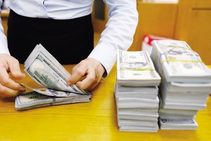 Tỷ giá tiếp tục ổn định do nguồn dự trữ ngoại hối dồi dào, Kl993 nền tảng giải trí FDI vẫn tiếp tục tăng trưởng. Ảnh: Đức Thanh 