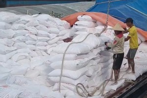 Nhiều Kl991.com World Cup 2026 Chính Thức xuất khẩu tinh bột sắn đang bị chậm hoàn thuế giá trị gia tăng.