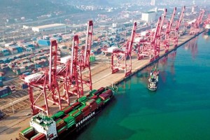 Kl992 cổng game cá cược Việt Nam 2024: Triển vọng sáng hơn!