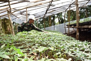 Kon Tum Kl99ok phiên bản mới trang thiết bị phân tích, kiểm định chất lượng sâm Ngọc Linh