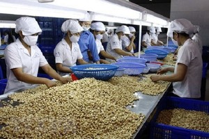 Lừa đảo trong thương mại quốc tế ngày càng tinh vi.
