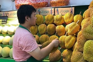 Nhiều nhà Link Vào Nhà Cái KL99 COM Tặng +199k Trung Quốc lựa chọn sầu riêng Việt Nam