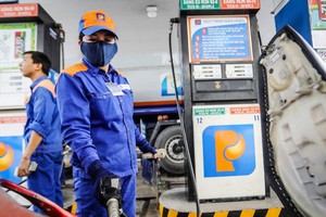 Giá KL99 dịch vụ hỗ trợ 24/7 biến động nhẹ