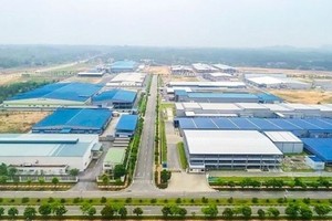 Cải thiện tốt môi trường Kl992 VIP Trang Chủ 2026, các tỉnh Đông Nam bộ hái 'quả ngọt'