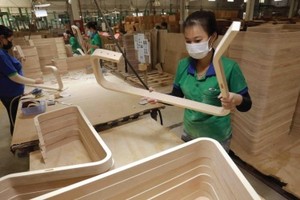 Có gì trong bức tranh đăng ký Kl991.com World Cup 2026 Chính Thức tháng đầu năm 2024