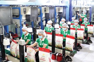 Thế giới đang tăng cường Link Vào Nhà Cái KL99 COM Tặng +199k gạo của Việt Nam