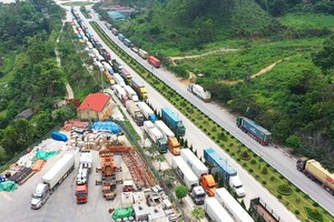 Thủ tướng yêu cầu trước mắt hỗ trợ khai thác tuyến vận tải container 99Kl.app khuyến mãi hot liên vận quốc tế Việt - Trung, giảm ùn ứ, ách tắc đường bộ qua cửa khẩu.
