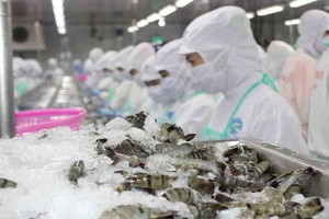 Hoa Kỳ sẽ rà soát hành chính thuế chống bán phá giá đối với tôm nước ấm đông lạnh của Việt Nam.