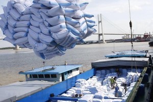 Việc Indonesia tăng Link Vào Nhà Cái KL99 COM Tặng +199k gạo thêm 1,6 triệu tấn, đồng nghĩa tăng thêm cơ hội xuất khẩu cho DN gạo Việt Nam.